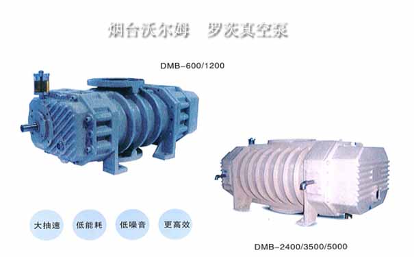 VOLM羅茨真空泵-煙臺(tái)沃爾姆真空技術(shù)有限公司